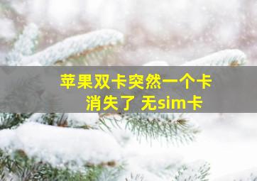 苹果双卡突然一个卡消失了 无sim卡